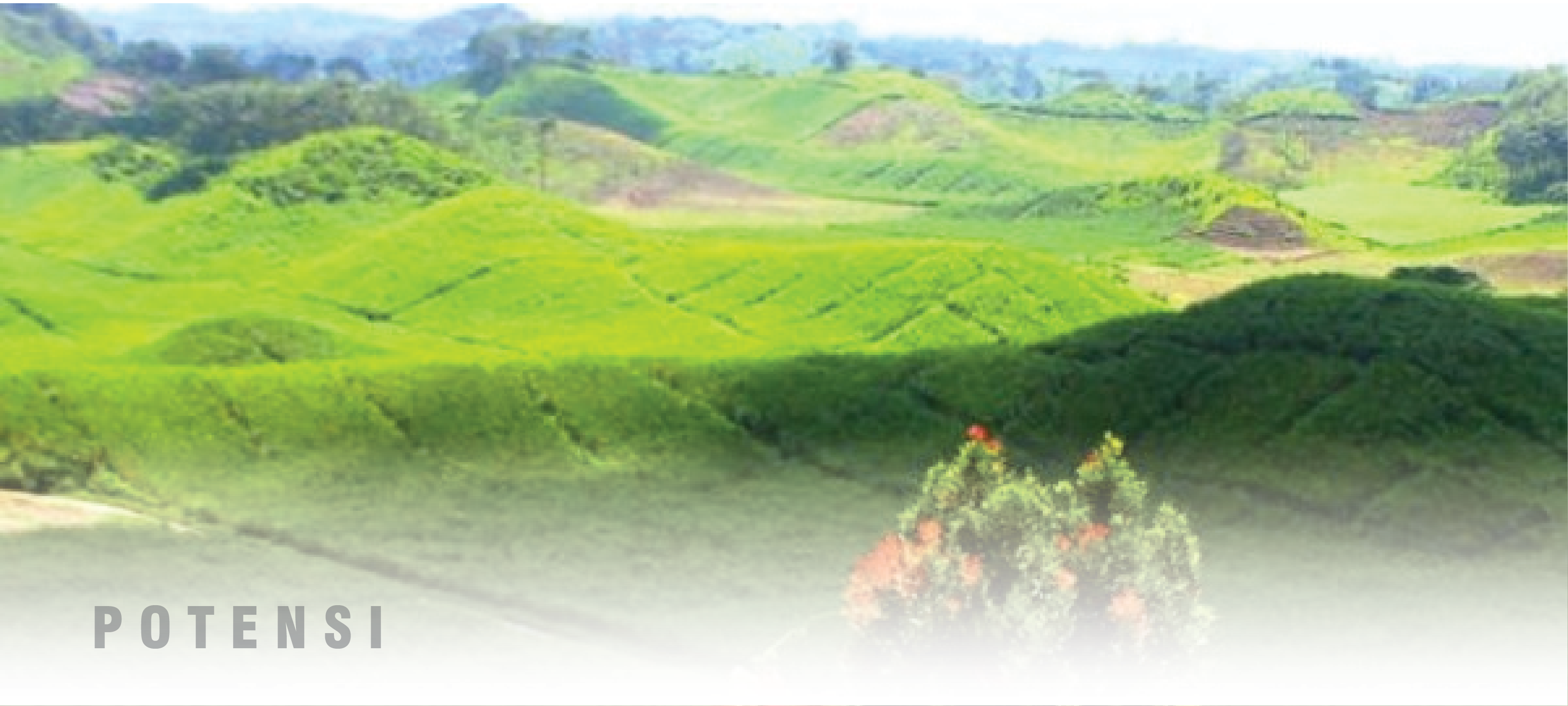 STOP GRATIFIKASI